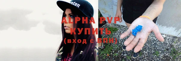 прущие грибы Ладушкин