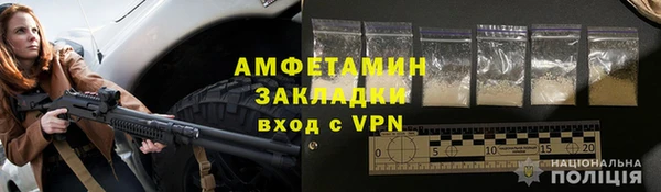 прущие грибы Ладушкин