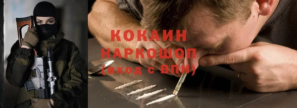 прущие грибы Ладушкин
