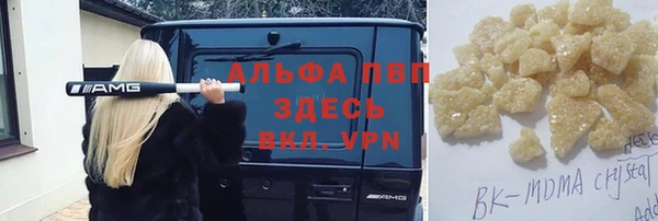 прущие грибы Ладушкин