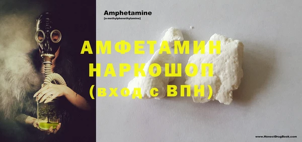 прущие грибы Ладушкин