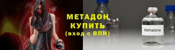 прущие грибы Ладушкин