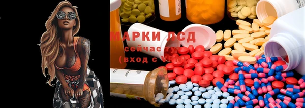 прущие грибы Ладушкин