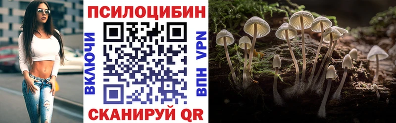 blacksprut рабочий сайт  Советск  Галлюциногенные грибы Psilocybine cubensis  купить наркотик 