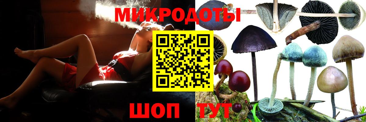 Псилоцибиновые грибы GOLDEN TEACHER  Вход с VPN  Советск  Галлюциногенные грибы GOLDEN TEACHER 